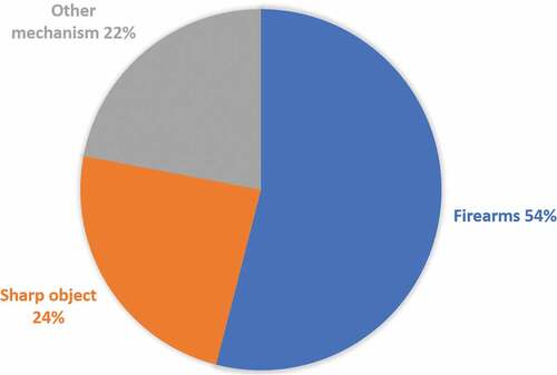 Figure 1. Estimated breakdown of intentional homicide worldwide, by a mechanism of perpetration in 2017 UNODC (Citation2019)