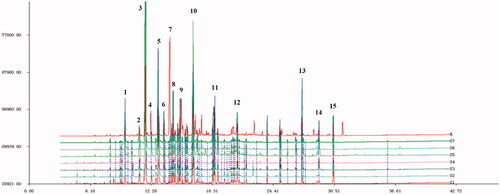 Figure 2. Fingerprints of volatile oil of C. minima from different producing areas (S1 Shanxi; S2 Hubei; S3 Jiangxi; S4 Guangxi; S5 Henan; S6 Sichuan; S7 Guangdong).