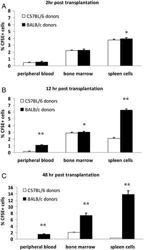 Figure 1. Homing trace in different tissues of recipients at special time points after bone marrow transplantation. BMCs of different donors labeled with fluorescent dye CFSE were injected into sensitized recipients, then homing to different tissues was evaluated. The percentage of CFSE+ donor cells in peripheral blood, bone marrow, and spleen cells of recipients were analyzed by flow cytometry at various time points. (A) Two hours post-transplantation. (B) Twelve hours post-transplantation (C) Forty-eight hours post-transplantation. Values are given as mean ± SD of five mice per time point. *P < 0.05 C57BL/6 donor group vs. BALB/c donor group, **P < 0.001 C57BL/6 donor group vs. BALB/c donor group.