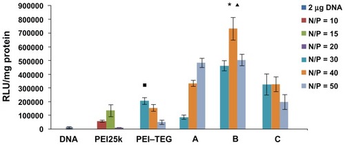 Figure 6 The transfection efficiency of PEI derivates/DNA complexes on the DC2.4 cell line in the absence of serum. The N/P ratios of complexes were optimized by a preliminary experiment, and the optimal N/P ratio of complex of PEI25k, PEI–TEG, and man-PEI–TEG conjugates A, B, and C were 10, 30, 50, 40, and 30, respectively. The data were represented as mean ± standard deviation (SD) of three independent experiments (n = 3).Notes: ▪P < 0.03 vs the group of PEI25k at its optimal N/P ratio; ★P < 0.001 vs the group of PEI25k and PEI–TEG at their optimal N/P ratio; ▴P < 0.03 vs the group of man-PEI–TEG conjugates A and C at their optimal N/P ratio.Abbreviations: PEI, polyethyleneimine; TEG, triethyleneglycol; PEI-TEG, polyethyleneimine and triethyleneglycol polymer; A, mannosylated PEI-TEG derivative A; B, mannosylated PEI-TEG derivative B; C, mannosylated PEI-TEG derivative C; PEI25k, polyethyleneimine with a molecular weight of 25 kD; DC, dendritic cells; RLU, relative light unit; SD, standard deviation.