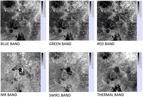 Figure 4. Dataset containing blue, green, red, NIR, SWIR1 and Thermal bands that have been radiometrically corrected or calibrated.