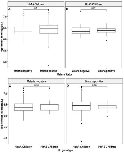 Figure 2 Ferritin levels in HbAA and HbAS individuals during Plasmodium falciparum infection. The left panel (A) compares the ferritin levels between individuals of HbAA and HbAS phenotype without malaria and the (B) shows those diagnosed with malaria. The lower left panel (C) compares the ferritin levels between P. falciparum positive and negative HbAA individuals and the right panel (D) shows the ferritin levels among HbAS individuals with malaria and those without malaria. In both panels the y-axis is log ferritin levels (µg/L).