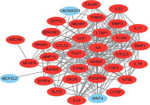 Figure 2 Protein–protein interaction network of the differentially expressed genes (red circles meant up-regulated DEGs and green circles meant down-regulated DEGs).