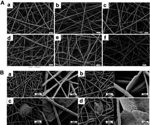 Figure 6 (A) SEM micrographs of electrospun nanofibers made of PLA and GO combinations: (a) PLA, (b) PLA/GO (1%), (c) PLA/GO (2%), (d) PLA/GO-g-PEG (1%), (e) PLA/GO-g-PEG (2%), and (f) PLA/GO-g-PEG (5%). (B) Images of electrospun scaffolds using TPU and GO combination (a) TPU, (b) 0.5% GO, (c) 1% GO, and (d) 2% GO. The presence of beading due to GO in the fibrous structure can be seen in the high magnification images of the composites.Notes: Figure A reprinted from Zhang C, Wang L, Zhai T, Wang X, Dan Y, Turng L-S. The surface grafting of graphene oxide with poly (ethylene glycol) as a reinforcement for poly (lactic acid) nanocomposite scaffolds for potential tissue engineering applications. J Mech Behav Biomed Mater. 2016;53:403–413. Copyright 2016, with permission from Elsevier.Citation145 Figure B reprinted from Jing X, Mi H-Y, Salick MR, Cordie TM, Peng X-F, Turng L-S. Electrospinning thermoplastic polyurethane/graphene oxide scaffolds for small diameter vascular graft applications. Mater Sci Eng C. 2015;49:40–50. Copyright 2015, with permission from Elsevier.Citation146