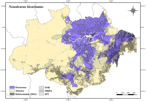 Figure 56. Occurrence area and records of Neusticurus bicarinatus in the Brazilian Amazonia, showing the overlap with protected and deforested areas.
