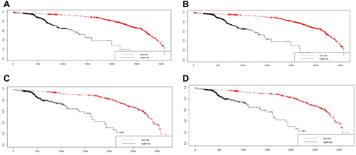 Figure 4 K-M survival analysis; in the group of predicting MACCE events, the two groups displayed significant difference in both derivation cohort (p<0.001) and validation cohort (p<0.001) shown in (A–D).