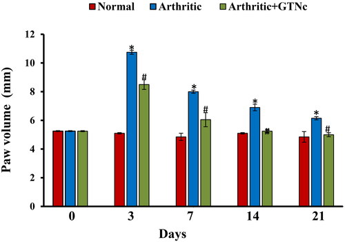 Figure 7. Effect of GTNc on the size of the right hind paws of rats with CFA-induced arthritis. Results are presented as mean values ± SE. *p < 0.05: significant difference compared to the control group, #p < 0.05: significant compared to GTNc-treated arthritic rats.