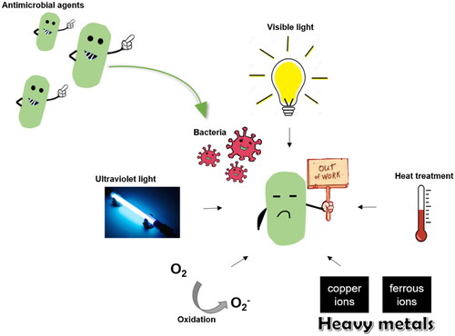 Figure 3. Key factors, including ultraviolet light, visible light, heat treatment, heavy metals, and the presence of oxygen that can induce chemical or enzymatic changes, which in turn reduce the activities of antimicrobial agents.