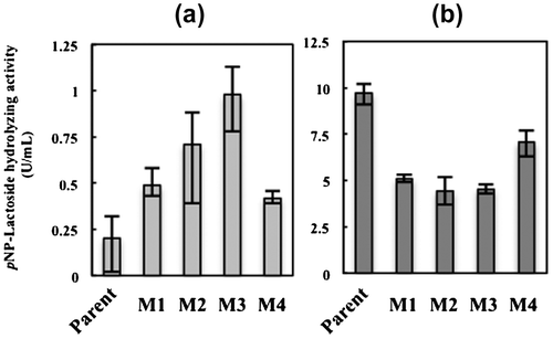 Fig. 6. Cellulase activity of the glucose de-repressed mutants (M1–4) and parent strain.