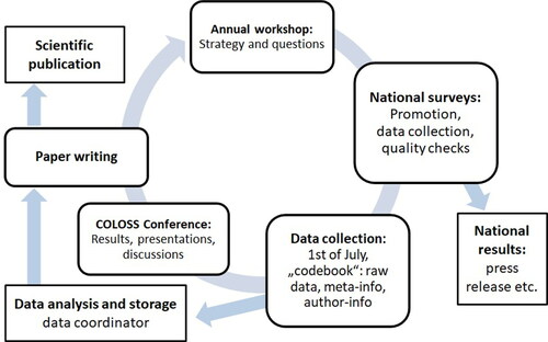 Figure 2. The subsequent steps of the COLOSS monitoring year.