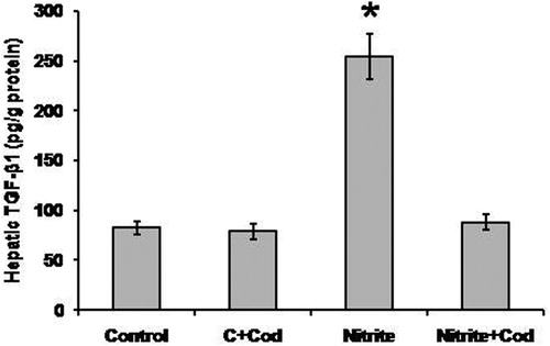 Figure 5. Effect of sodium nitrite (nitrite, 80 mg/kg/day) alone and its combination with cod liver oil (Cod, 5 ml/kg/day) for 12 weeks on hepatic transforming growth factor (TGF)-β1. *Significant difference as compared with the rest of the groups at P < 0.05.