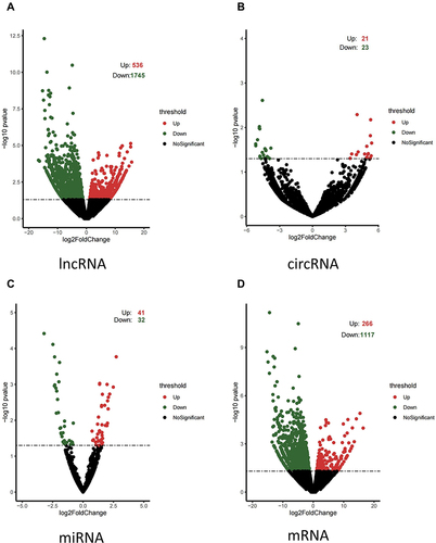 Figure 1 Profiles of differentially expressed lncRNAs, circRNAs, miRNAs, and mRNAs. Volcano plots of (A) DE lncRNAs, (B) DE circRNAs, (C) DE miRNAs, and (D) DE mRNAs. Volcano plots show the expression variation of lncRNAs, circRNA, miRNAs, or mRNAs between the wildtype TERT promoter group and mutant TERT promoter group. Each lncRNA, circRNA, miRNA, or mRNA is represented by a dot; red dots indicate up-regulation and green dots indicate down-regulation. The black dots in the center area indicate no significant difference (P < 0.05).