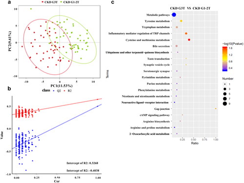 Figure 6. Metabolomics analysis of fecal samples. (a,b) PLS-DA score plots and permutation test of CKD G1-2T and CKD G3T group. (c) KEGG pathway analysis of differentially expressed metabolites.