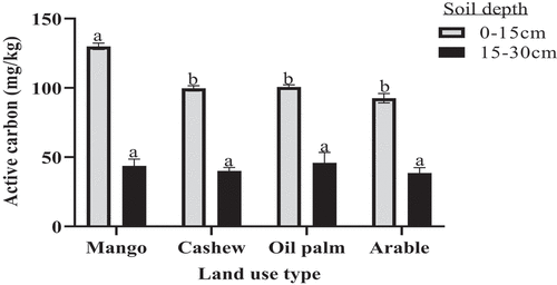 Figure 5. Active carbon pool under land use types at 0–15 and 15–30 cm depths. Bars with different alphabets are significantly different from one another (Tukey HSD, p<0.05).