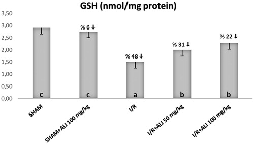 Figure 2. Effect of aliskiren treatment on GSH levels in the rats’ kidney tissues. ALI: aliskiren, I/R: ischemia/reperfusion. Notes: Means in the same column by the same letter are not significantly different to the test of Duncan (p = 0.05). Results are means ± SD.