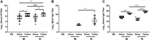 Fig. 5 Immunogenicity comparison of the nasal spray H7N9 vaccine and the intramuscular vaccine.Mice were intranasally or intramuscularly immunized with vaccines once or twice (3-week interval). Serum and BALF were collected 21 days after the last immunization, and then the titers of HI and anti-HA IgG in serum and of sIgA in BALF were determined. The data are shown as the geometric mean of all mice in each group with the corresponding SD on a log 2 scale, and the results were compared using Student’s t-test. Differences with a P-value < 0.05 were considered statistically significant. Significant differences between groups are indicated as *P < 0.05, **P < 0.01, ****P < 0.0001, or n.s. no significant difference. IN intranasal administration, IM intramuscular administration