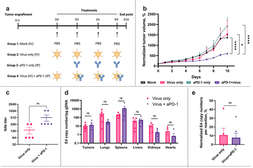 Figure 1. Tumor progression and biodistribution of the virus in syngeneic murine subcutaneous NSCLC model LLC1 after intravenous administration of Ad5-CMV-mTNFα/mIL-2 in combination with aPD-1. (a) Experiment design. C57BL/6BrdCrHsd-Tyr mice (n = 5–6 per group) were subcutaneously injected with 1 × 10Citation6 LLC1 cells into the right flank. After tumors reached 2-3 mm animals were assigned to a group where they were treated with eitheraPD-1 intraperitoneally (IP), 1 × 10Citation9 VPs (non-replicative Ad5-CMV-mTNFα/mIL-2) intravenously (IV), or in combination. Control animals received PBS IV. Treatment frequency as indicated. (b) Tumor growth until day 10. Tumor volumes were normalized against day 0. (c) Evaluation of the neutralizing antibodies (NAb) titer in serum collected on day 10 by luciferase assay. The NAb titer was determined as the lowest dilution of the serum that blocked at least 80% of luciferase activity. (d) Virus distribution evaluation via qPCR using the DNA extracted from of snap-frozen tissue fragments. (e) Quantification of the viable virions presented in tumor samples by viability PCR.