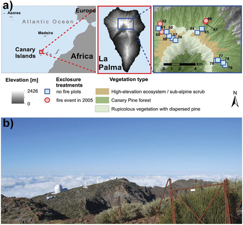 FIGURE 1. (a) Map of the Canary Islands, La Palma, and the study area. (b) A view of the rim of the Caldera de Taburiente from the highest plot (56) at 2400 m a.s.l. The study area is located on the northern part of the island (a, central panel). The symbols depict the sites of exclosures (herbivory exclosure) and their respective herbivory reference pairs: squares = unaffected by 2005 fire and circle = affected by 2005 fire (created with ArcGIS 10, ESRI Inc.). The species inside the exclosure are two of our target species, i.e. Spartocytisus supranubius (dark green) and Genista benehoavensis (grayish green). Around the telescopes a mono-dominant stand of Adenocarpus viscosus subsp. spartioides can be seen. Photo by Gesche Blume-Werry.