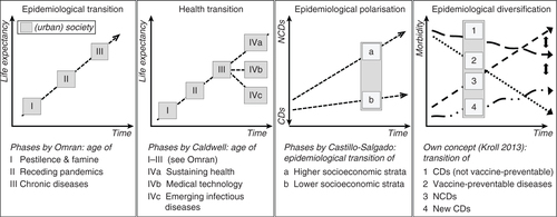 Fig. 1 Different models of epidemiological transition. The first three graphs depict the epidemiological transition concepts of Omran (Citation2, Citation3), Caldwell (Citation5, Citation6), and Castillo-Salgado (Citation11). The model of epidemiological diversification has been developed based on own findings in Pune in the context of rapid urbanization and steep socioeconomic disparities within the urban society.Source: Modified from Kroll (Citation31).