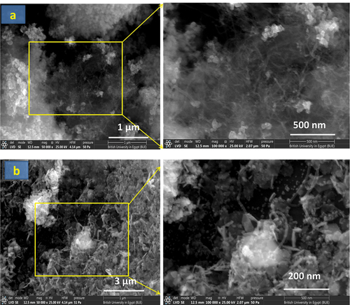 Figure 6. SEM images of: (a) CNT-ZnO and (b) CNT-Co3O4.