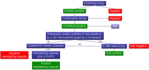Figure 1. Neutralizing antibody assay selection decision tree.
