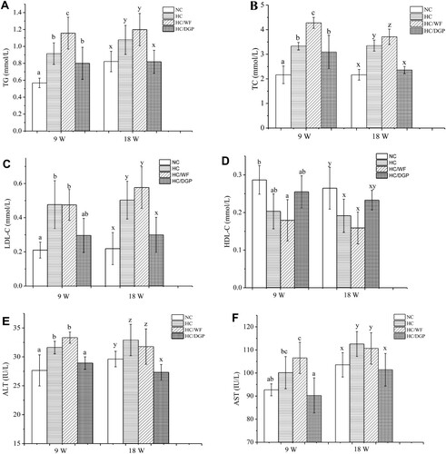 Figure 2. The serum levels of TG, TC, LDL-C, HDL-C, ALT and AST in each group (n = 10 mice per group); A, TG; B, TC; C, LDL-C; D, HDL-C; E, ALT; F, AST; NC, normal control; HC, hyperlipidaemia control; HC/WF, HC–wheat flour diet; HC/DGP, HC–detoxification ginkgo nut powder diet; values are mean ± S.D.; means with different letters (a–d) differ significantly in the 9th week (p < .05). Means within a row with different letters are significantly different (x–z) in the 18th week (p < .05).