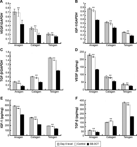 Figure 6 Effect of collagenase IV inhibitor on the expression of VEGF, IGF-1, and TGF-β.