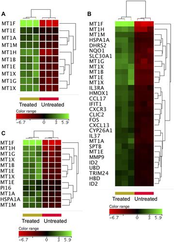 Figure 3 Genes identified with over-expression in the ZnO NPs-treated DLBCL cells compared with the untreated DLBCL cells. Hierarchical cluster analysis with heatmap presentation was conducted on the over-expressed genes (FC≥3; p≤0.008; corrected p≤0.05) that significantly over-represented the biological processes and pathways: cellular response to zinc ions (A), response to chemicals (B) and negative regulator of growth (C). The color range represents the normalized signal value of probes (log2 transformation and 75 percentile shift normalization).