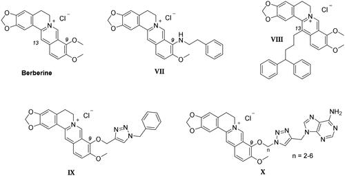 Figure 4. Chemical structure of the berberine derivatives as GQ ligands discussed here.