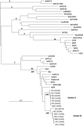 Figure 1. NS 5B gene phylogenetic tree analysis of the acute hepatitis C epidemic.