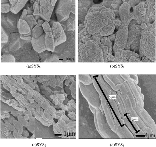 Figure 2. SEM images of SYS composites synthesized under different pH conditions.