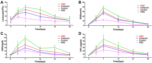 Figure 3 Changes in (A) leukocyte count, (B) ESR, and (C) CRP, and (D) TNFα in the control group (n=10), NBD group (n=11), cefazolin group (n=12), and PBS group (n=8).