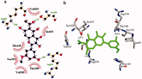 Figure 7. Detail interactions display of compound 2 with bovine serum albumin. Detailed interaction of compound 2 with the active site in 2D (a) and 3D (b).