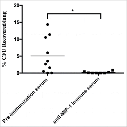 Figure 5. Anti-MIP-1 immune serum significantly protects mice against MAH respiratory infection. C57BL/6 mice were intranasally infected with microaggregates incubated with anti-MIP-1 immune serum or pre-immunization immune serum for 24 h. * p < 0.05.