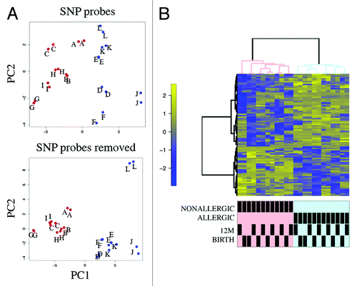 Figure 3. Principal component analysis (PCA) and heatmap visualization of metastable DMPs (A) PCA of SNP-associated (top panel) vs. non SNP-associated metastable DMP. The between-sample variance relative to the between-class variance is higher for SNP-associated probes. Pooled samples are labeled alphabetically. Cases are shown in red, controls in blue. (B) Cluster heatmap analysis of 92 non-SNP metastable DMP. Rows represent probes and columns represent samples. Cells are colored according to level of methylation (Blue = low methylation, yellow = high methylation, scale denotes row standard deviations). Sample annotation is indicated below the dendrogram.