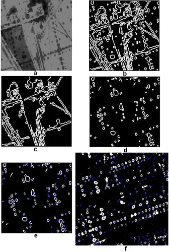 Figure 2. The result maps of saltcedar detection. (a) The image after enhancement and Wiener filter; (b) the edges of targets extracted by the Canny edge detector; (c) the edges of non-interesting targets; (d) the image after removing the non-interesting targets; (e) the Saltcedar patches with the blue asterisks detected in this study in the experiment image; (f) the Saltcedar patches with the blue asterisks detected in this study in the test image.