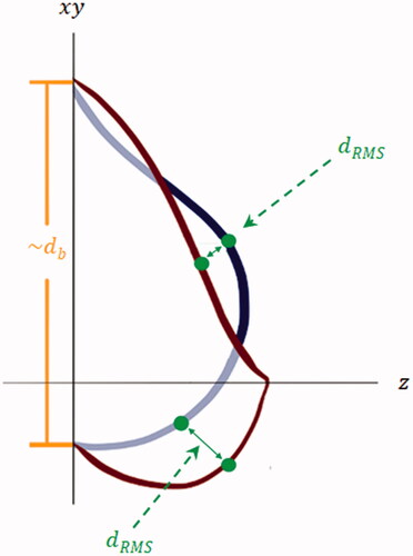 Figure 3. Illustration of the coordinates and data used to obtain the mean distance between two breast surfaces (dRMS) and the characteristic diameter (db) of the left (blue) and the right (maroon) breast, calculated from the measured volumes of the breasts in VECTRA Analysis Module. dRMS is calculated based on measuring the shortest distance between more than 1000 points on one surface to the corresponding points on the other surface.