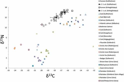 Fig. 2. Carbon and nitrogen isotope values for human individuals from Gullholmen and Kirkegårdsøya as well as animal samples from Gollevárri (this study) and previously published faunal data (Berglund et al. Citation2001, Linderholm et al. Citation2008, Barrett et al. Citation2011, Fjellström Citation2011, Nehlich et al. Citation2013, Salmi et al. Citation2015, Dury et al. Citation2018).