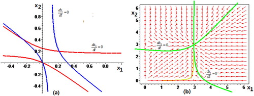 Figure 2. (a) The intersection point of the two isoclinal lines with the parameters μ1=10,μ2=6,δ=0.5,Q~=0.55,ρ=0.23,S0=8. (b) The vector field of system (3.1) with the parameters μ1=10,μ2=6,δ=0.6,Q~=0.55,ρ=0.23,S0=8.