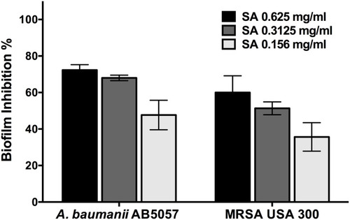 Figure 1 Anti-biofilm activity. Effect of different concentrations (0.625, 0.3125 and 0.156 mg/mL) of star anise extract (SA) on A. baumannii AB5057 and MRSA USA300 biofilm formation. Results are expressed as mean biofilm inhibition % ± standard error. The biofilm inhibition % was calculated using the following equation: .