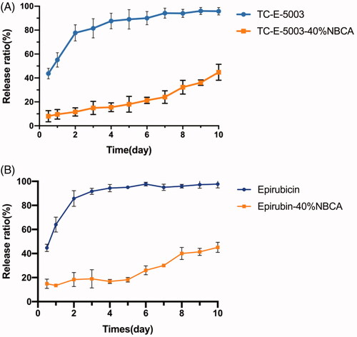 Figure 5. The release ratio of TC-E-5003 and epirubin loaded in an INEI with 40% NBCA. (A) Release ratio of TC-E-5003 and TC-E-5003 loaded in an INEI with 40% NBCA; (B) release ratio of epirubicin and epirubicin loaded in an INEI with 40% NBCA. The concentration of released TC-E-5003 in the Phosphate buffered saline was quantified as described in the Materials and methods section. The amount of initially incorporated TC-E-5003 (0.5 mg) is defined as 100%. Each data point represents the mean ± SD of triplicate measurements.