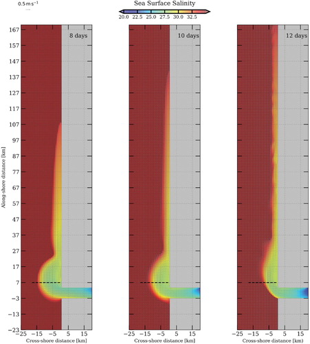 Figure 12. Sea surface salinity at three different time steps – SW Wind Configuration. The black dashed line represents zonal vertical sections shown hereafter. (Colour online)