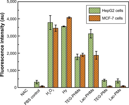 Figure 5 Fluorescence intensity of DCF in HepG2 and MCF-7 cells incubated with free Hy, TEG-PHMs, Lac-PHMs, TEG-PMs, and Lac-PMs after receiving 595–600 nm light exposure for 30 minutes.Notes: The concentration of free Hy and Hy in Lac-PHMs and TEG-PHMs was 1.0 μM. The concentration of Lac-PM and TEG-PM was 15 μg mL−1. The cells were, respectively, incubated with free Hy or the NPs for 4 hours at 37°C before irradiation. Cells without any treatment were used as PBS control, and the H2O2- and NAC-treated cells were used as the positive and negative controls, respectively. Data are presented as the average ± SD (n=3).Abbreviations: Hy, hypericin; NAC, N-acetylcysteine; PMs, polydopamine–MNP composite nanoparticles; PHMs, hypericin-entrapped polydopamine–MNP composite nanoparticles; TEG-PMs, triethylene glycol–modified PMs; Lac-PMs, lactose-modified PMs; TEG-PHMs, triethylene glycol–modified PHMs; Lac-PHMs, lactose-modified PHMs; DCFDA, 2′,7′-dichlorofluorescin diacetate; DCF, 2′,7′-dichlorofluorescein.