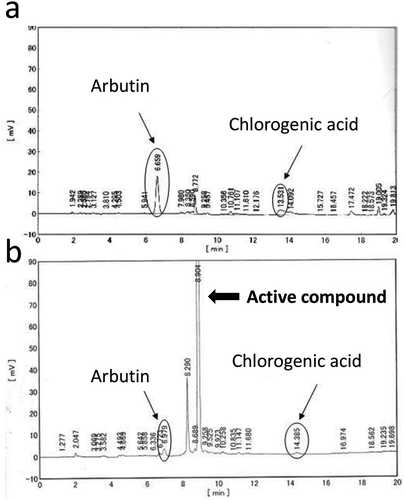 Figure 1. Elution patterns of the newly formed tyrosinase inhibitor, arbutin, and chlorogenic acid during HPLC of the ethanol extracts of Japanese pear juice (a) and its boiled concentrate (b).