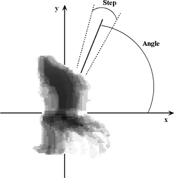 FIGURE 3 Representation of the application of the angular transform on the MoT of the running activity.