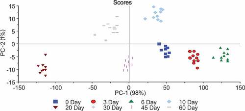 Figure 3. PCA score plot on chemical and farinographic parameters measured during various storage interval of wheat flour to monitor its aging process.