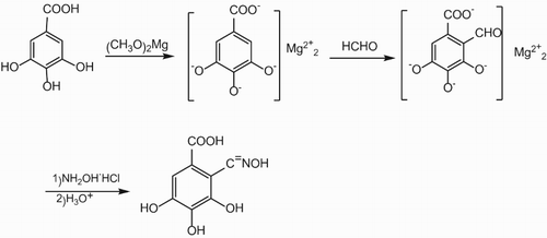 Scheme 1. Synthesis of RC-GAO.