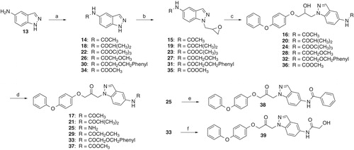 Scheme 3. Reagents and conditions: (a) 15: Acetic anhydride, THF, triethylamine, room temp., 1.5 h; 18: isobutyryl chloride, pyridine, 0 °C, 2 h; 22: di-tert-butyl dicarbonate, methanol, Amberlyst® 15, room temp., 2 h; 26: 2-methoxyacetyl chloride, pyridine, 0 °C, 2 h; 30: 2-benzyloxyacetyl chloride, diisopropyl(ethyl)amine, DMF, 0 °C to room temp., 4 h; 34: methyl chloroformate, pyridine, 0 °C, 2 h; (b) 15: epichlorohydrin, Cs2CO3, acetonitrile, reflux, 3 h; 19, 23, 27, 31, 35: epichlorohydrin, Cs2CO3, DMF, room temp., 16–24 h; (c) 4-phenoxyphenol, 16, 32: Cs2CO3, tetrabutylammonium bromide, acetonitrile, reflux, 4–7 h; 20: 4-(dimethylamino)pyridine, DABCO, DMF, 120 °C, 1 h; 24: DABCO, DMF, 120 °C, 6 h; 28: DABCO, 4-(dimethylamino)pyridine, DMF, 120 °C, 4 h, 36: 4-(dimethylamino)-pyridine, 120 °C, 2 h; (d) 17, 21, 29, 37: acetic anhydride, DMSO, room temp., 12–16 h, 25: Dess-Martin periodinane, CH2Cl2, room temp., 4.5 h followed by trifluoroacetic acid, CH2Cl2, room temp., 18 h, 33: Dess-Martin periodinane, CH2Cl2, room temp., 3 h; (e) benzoyl chloride, ethyl acetate, pyridine, room temp., 2 h; (f) H2, Pd/C, THF, room temp., 4 d.