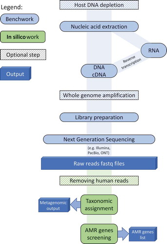 Figure 1. Laboratory and bioinformatics steps of a typical CMg pipeline. A typical CMg pipeline starts with the DNA/RNA extraction from the clinical sample. Optional steps of host DNA depletion and WGA can be added before and after the extraction, respectively. This is followed by preparing the nucleic acid for sequencing - the choice of library prep procedure depends on the sequencing technology and the concentration and type of nucleic acid. Taxonomic assignment and AMR screening is then performed, after optional human read removal, providing pathogen and AMR gene lists