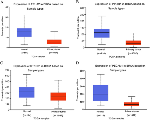 Figure 1 Expression level of the prognostic value in normal tissues and breast cancer samples from the TCGA Database. (A) EPHA2, (B) PIK3R1, (C) CTNNB1, (D) PECAM1.